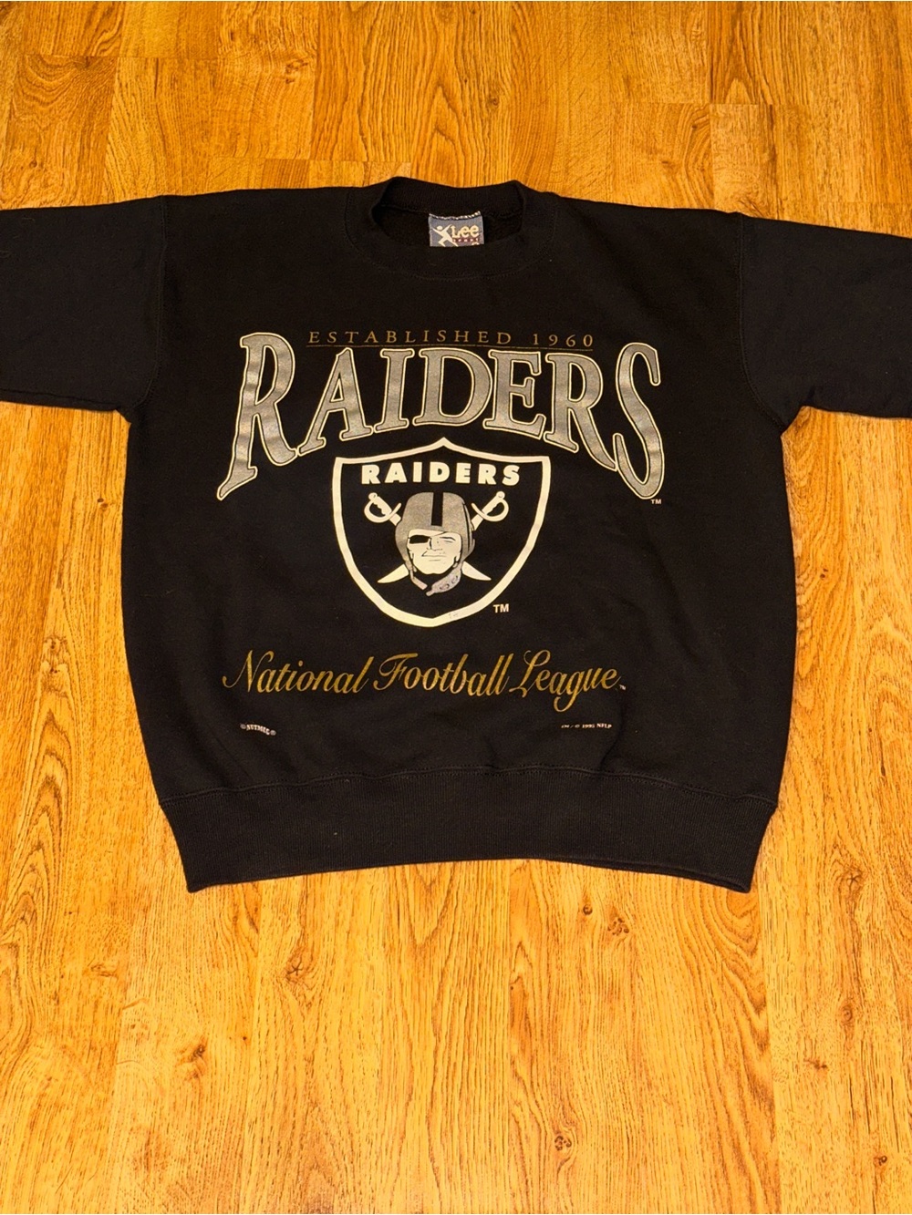Vtg 1995 NUTMEG Raiders Established 1960 Logo Sweater Men’s Medium